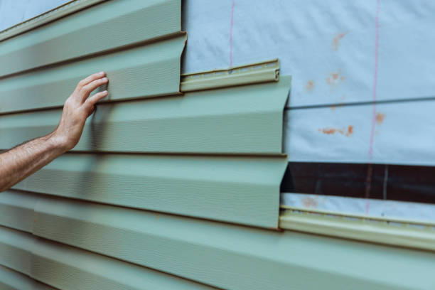 Best Steel Siding Installation  in Waycross, GA